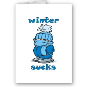 winter_sucks_card-p137175411435461396bh2r3_400