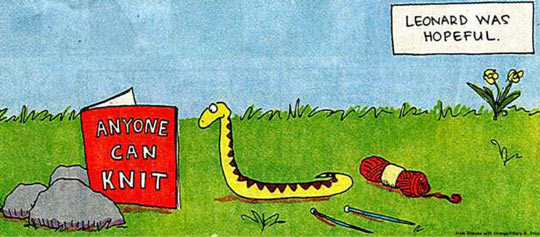 http://cdn.themetapicture.com/media/funny-snake-knitting-cartoon.jpg